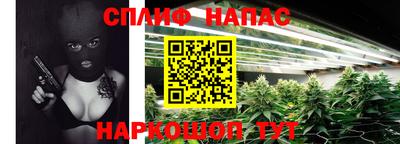 скорость Донской