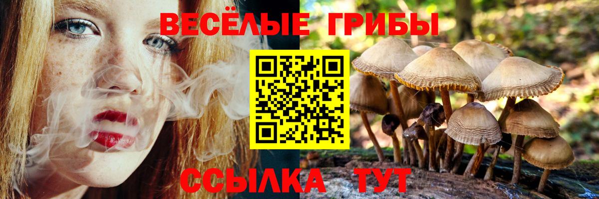 Псилоцибиновые грибы MAGIC MUSHROOMS  цены наркотик  Вход с VPN  Нижний Новгород  Псилоцибиновые грибы Magic Shrooms 